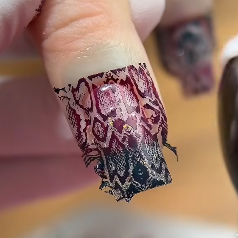 動物画像ヘビヒョウネイルスタンピングタイガーゼブラヒョウヘビ - Nail Art Zebra のレビューと価格